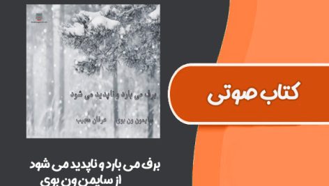 کتاب صوتی برف می بارد و ناپدید می شود از سایمن ون بوی