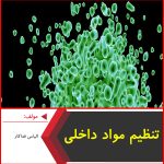 تنظیم مواد داخلی-الیاس فداکار