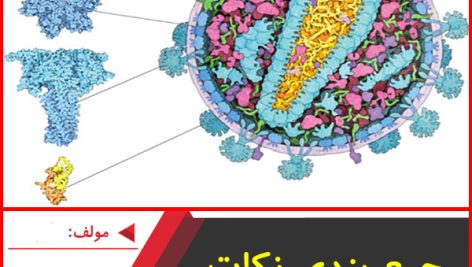 جزوه جمع بندی نکات اندام تناسلی ماده-مسعود هاشمی