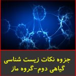 جزوه نکات زیست شناسی گیاهی دوم-گروه ماز