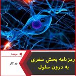 رمزنامه بخش سفر به درون سلول-فداکار