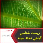 زیست شناسی گیاهی-تخته سیاه-مهدی آرام فر