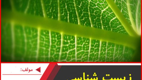 زیست شناسی گیاهی-تخته سیاه-مهدی آرام فر