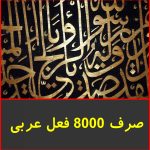 صرف 8000 فعل عربی