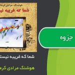 شما که غریبه نیستید اثر هوشنگ مرادی کرمانی