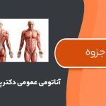 آناتومی عمومی دکتر پیغمبری